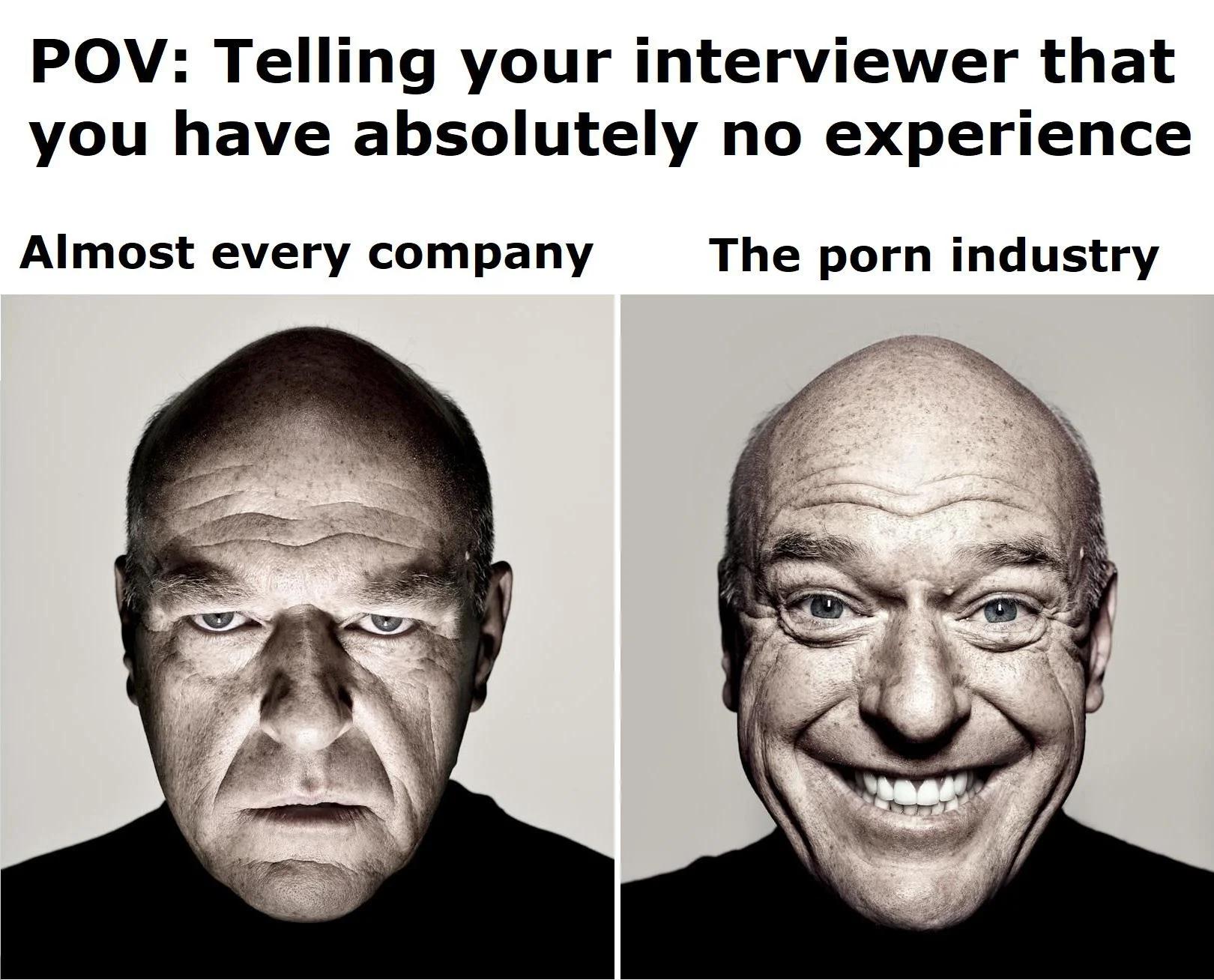 dank memes - hank breaking bad meme template - Pov Telling your interviewer that you have absolutely no experience Almost every company The porn industry