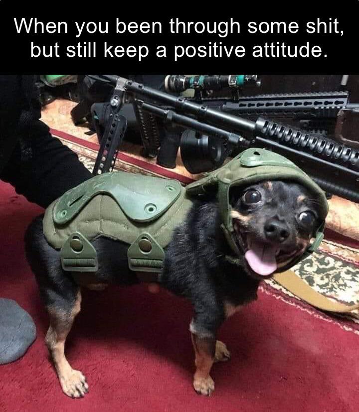 dank memes - funny memes - operator starsky dog - When you been through some shit, but still keep a positive attitude. 100000005