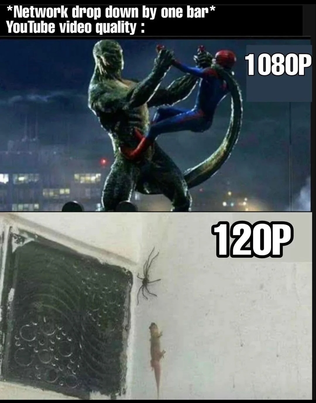 dank memes - funny memes - amazing spider man vs lizard - Network drop down by one bar YouTube video quality 1080P 120P