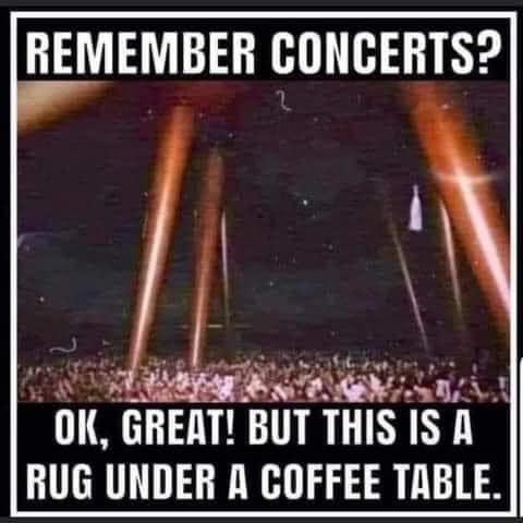 dank memes - funny memes - remember concerts this is a rug - Remember Concerts? Nown Ok, Great! But This Is A Rug Under A Coffee Table.
