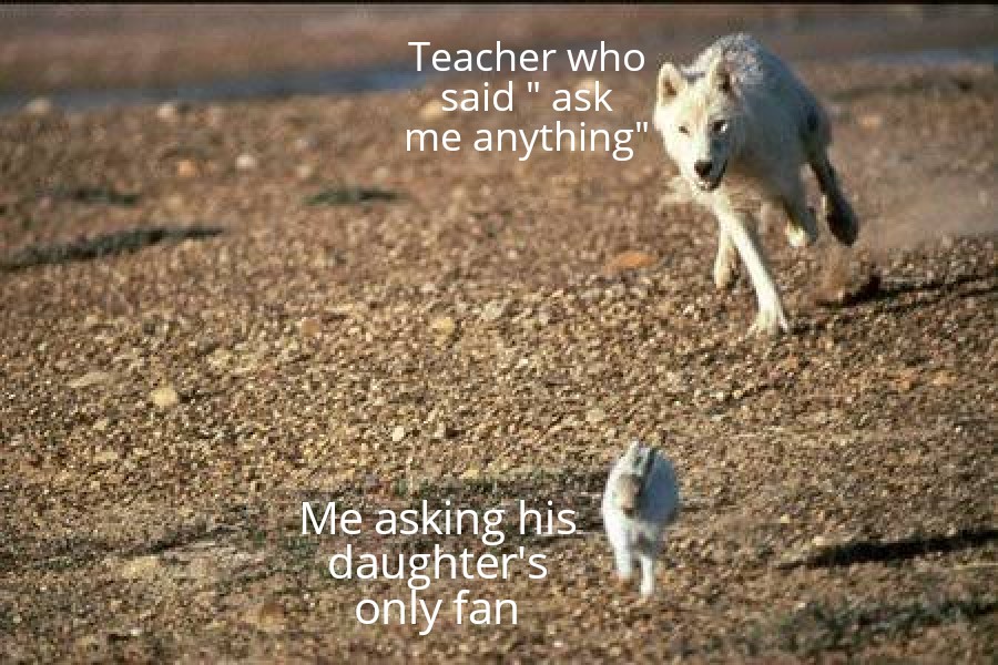 funny memes - dank memes - arctic wolf prey - Teacher who said "ask me anything" Me asking his daughter's only fan