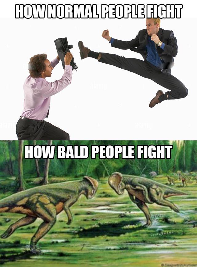 funny memes - dank memes - bald men fight meme - How Normal People Fight How Bald People Fight
