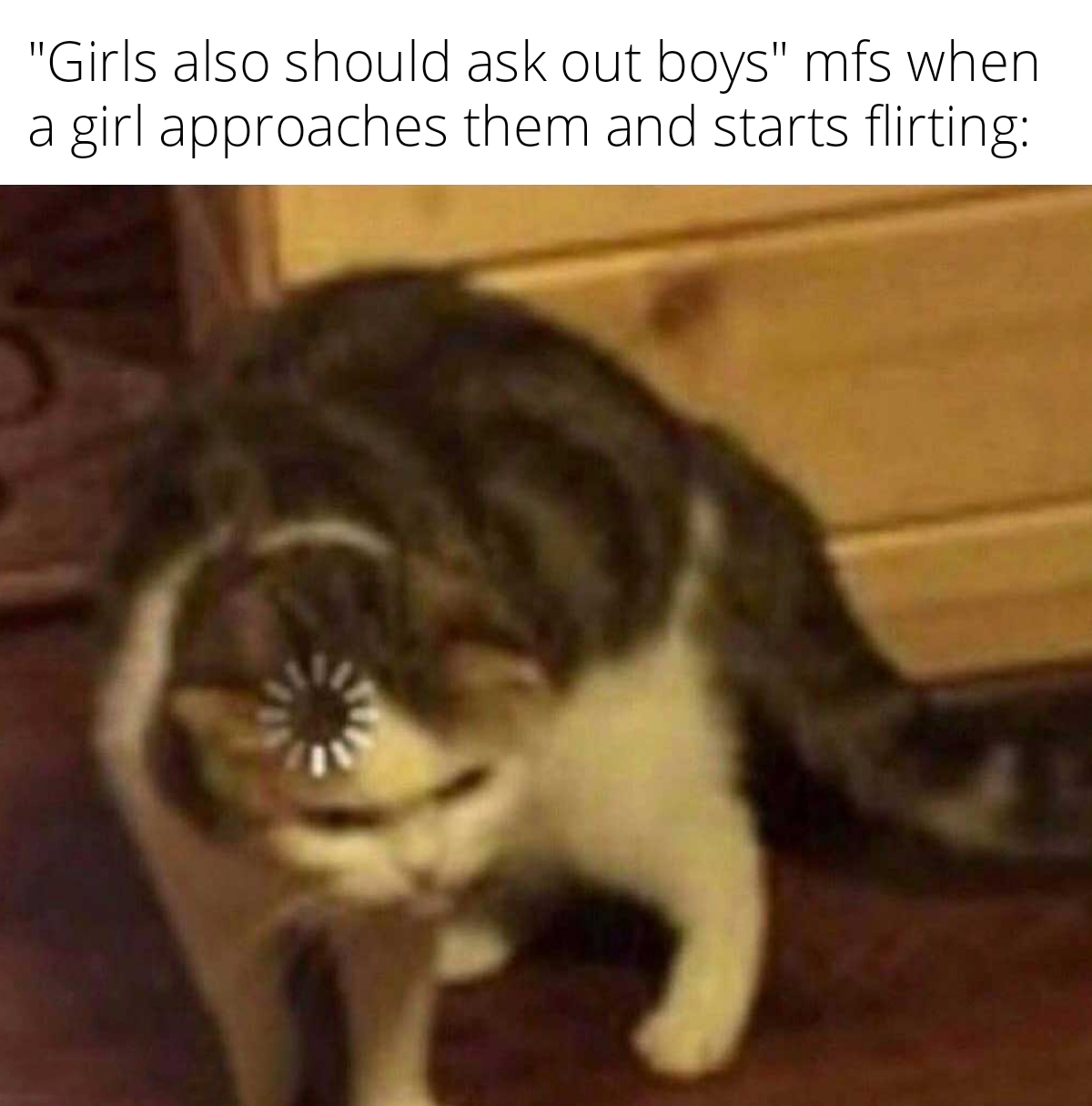 funny memes - dank memes - template cat loading meme - "Girls also should ask out boys" mfs when girl approaches them and starts flirting