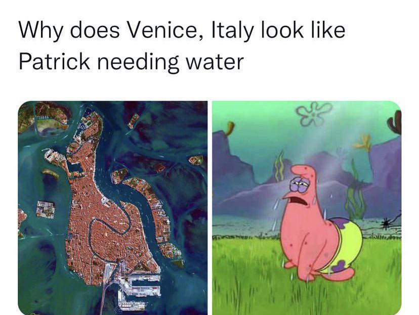 funny memes - dank memes - does venice italy look like patrick - Why does Venice, Italy look Patrick needing water