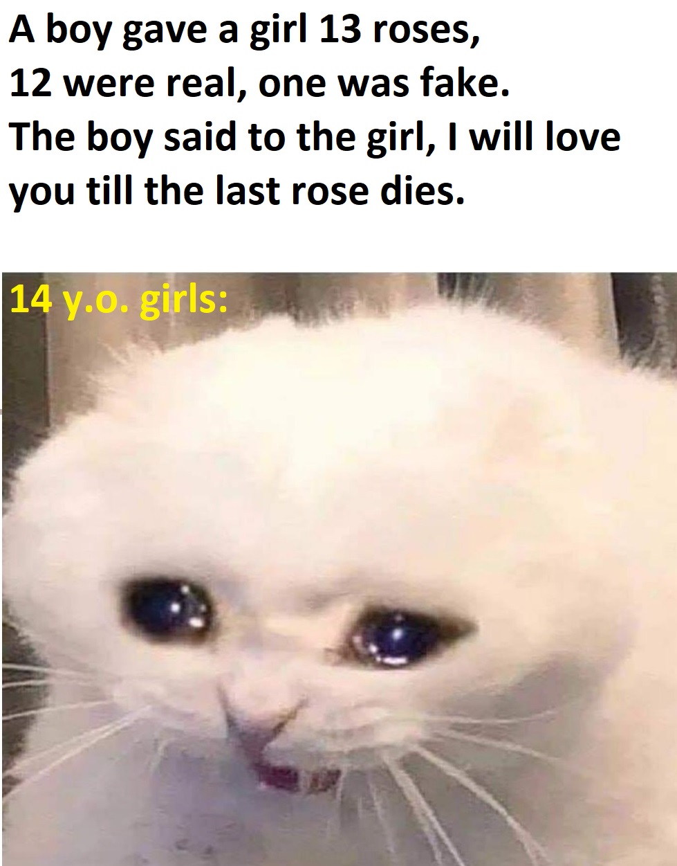 dank memes - help me memes - A boy gave a girl 13 roses, 12 were real, one was fake. The boy said to the girl, I will love you till the last rose dies. 14 y.o. girls