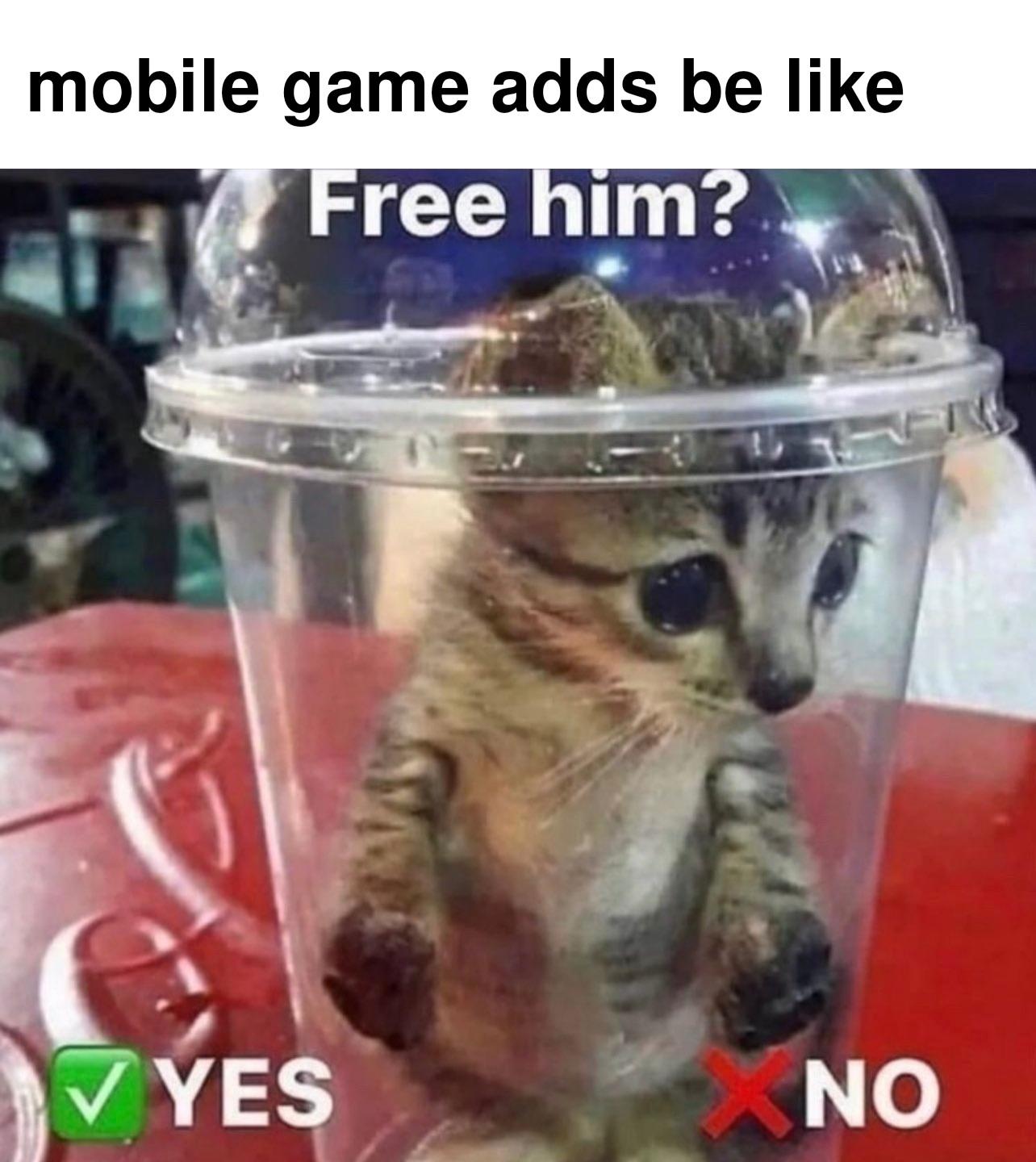dank memes - free him cat - mobile game adds be Free him? Yes No
