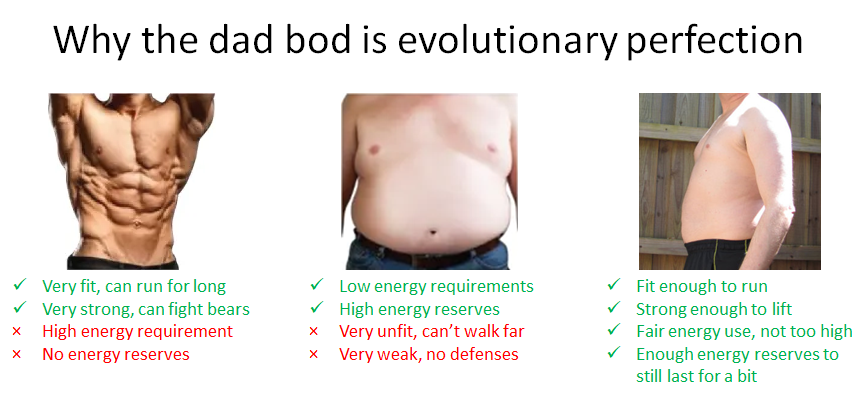 funny memes - dank memes - abdomen - Why the dad bod is evolutionary perfection Very fit, can run for long Very strong, can fight bears X High energy requirement X No energy reserves Low energy requirements High energy reserves X Very unfit, can't walk fa