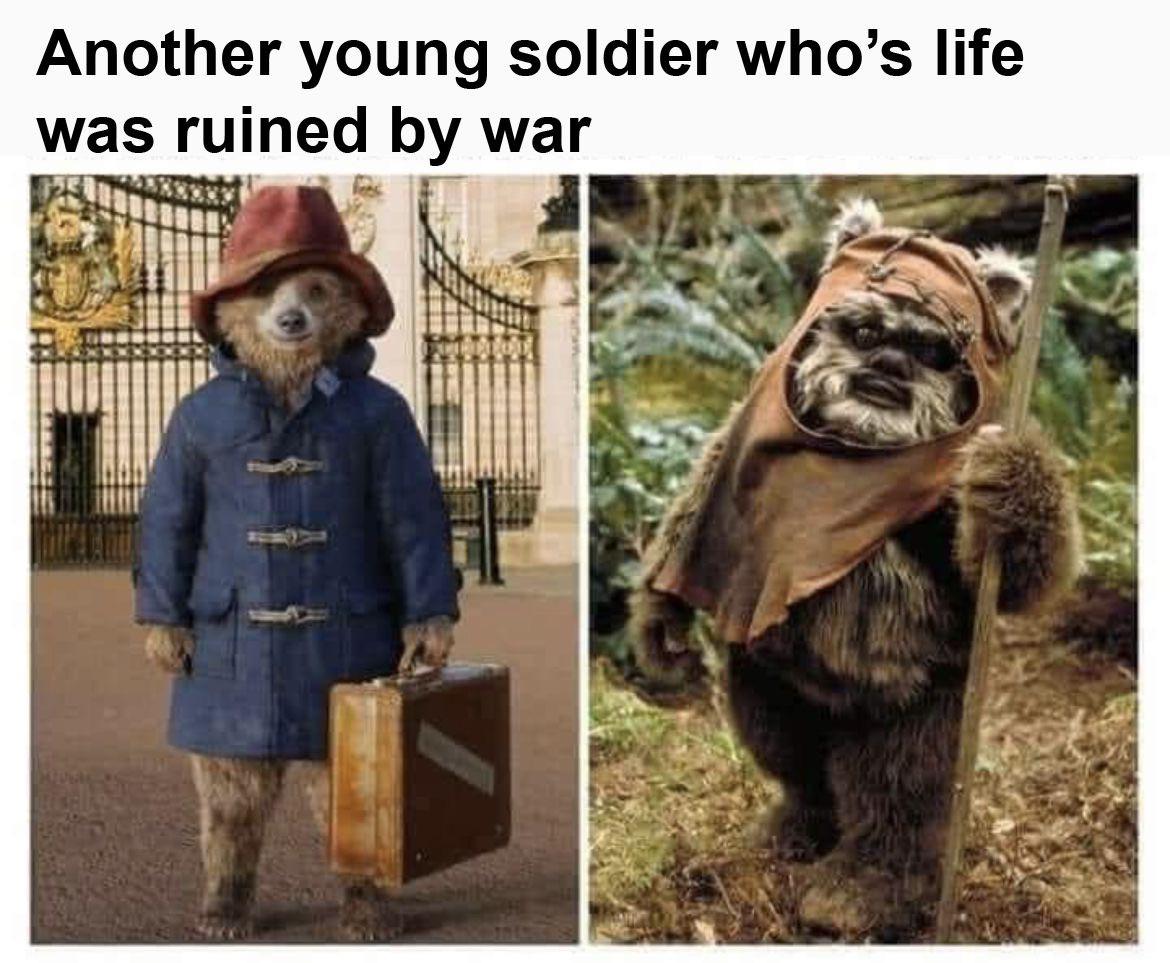 funny memes - dank memes - paddington bear - Another young soldier who's life was ruined by war