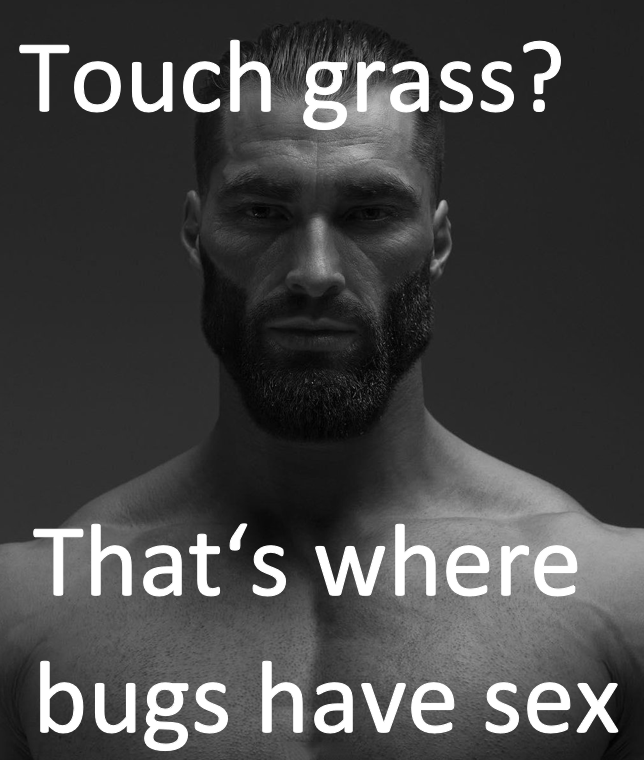 funny memes - dank memes - boy heart touching thoughts for love - Touch grass? That's where bugs have sex