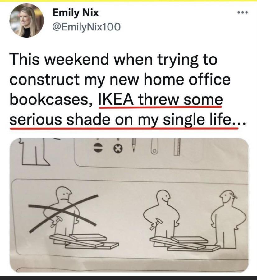 dank memes - cartoon - Emily Nix This weekend when trying to construct my new home office bookcases, Ikea threw some serious shade on my single life... 211