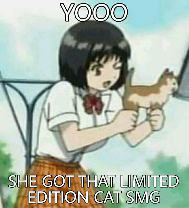 dank memes - cat gun anime - Yooo She Got That Limited Edition Cat Smg
