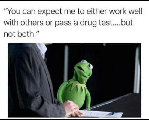 dank memes - funny memes - kermit meme surprised - "You can expect me to either work well with others or pass a drug test....but not both"