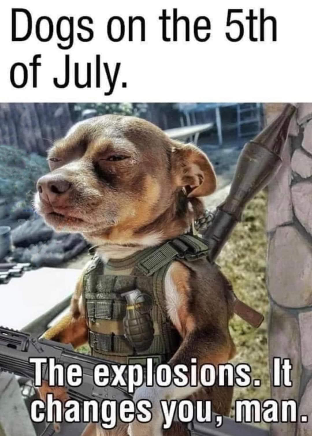 dank memes - dogs on the 5th of july - Dogs on the 5th of July. The explosions. It changes you, man