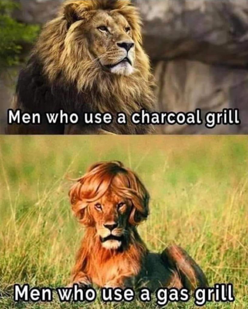 funny memes - dank memes - lion king - Men who use a charcoal grill Men who use a gas grill