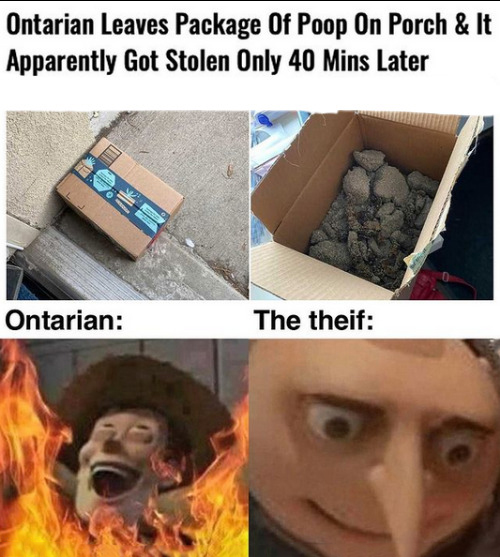 funny memes - dank memes - photo caption - Ontarian Leaves Package Of Poop On Porch & It Apparently Got Stolen Only 40 Mins Later Ontarian The theif