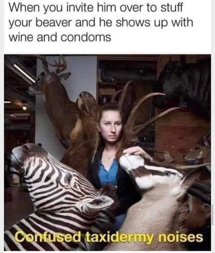 funny memes - dank memes - taxidermy in the dark - When you invite him over to stuff your beaver and he shows up with wine and condoms Confused taxidermy noises