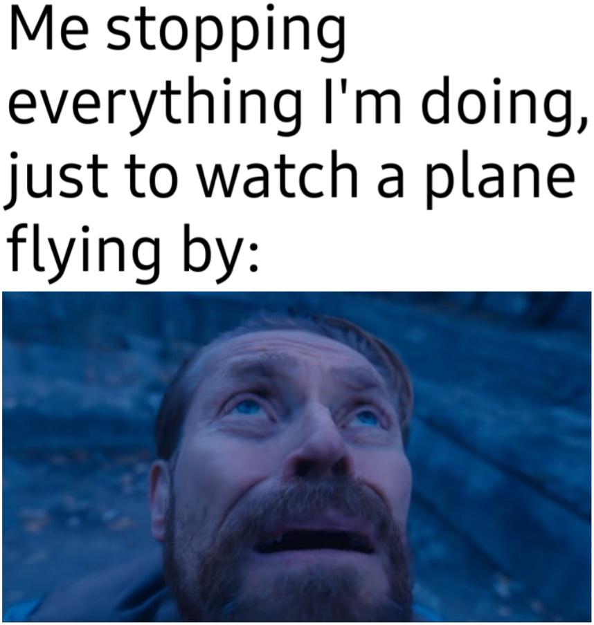 funny memes - dank memes - people think - Me stopping everything I'm doing, just to watch a plane flying by