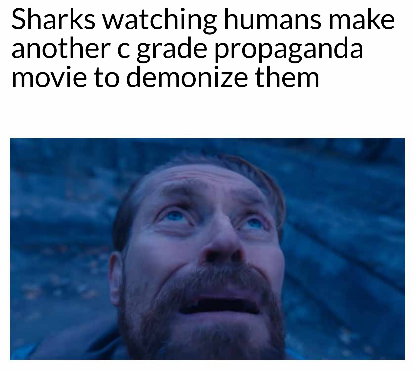 funny memes - dank memes - tag cloud - Sharks watching humans make another c grade propaganda movie to demonize them 10