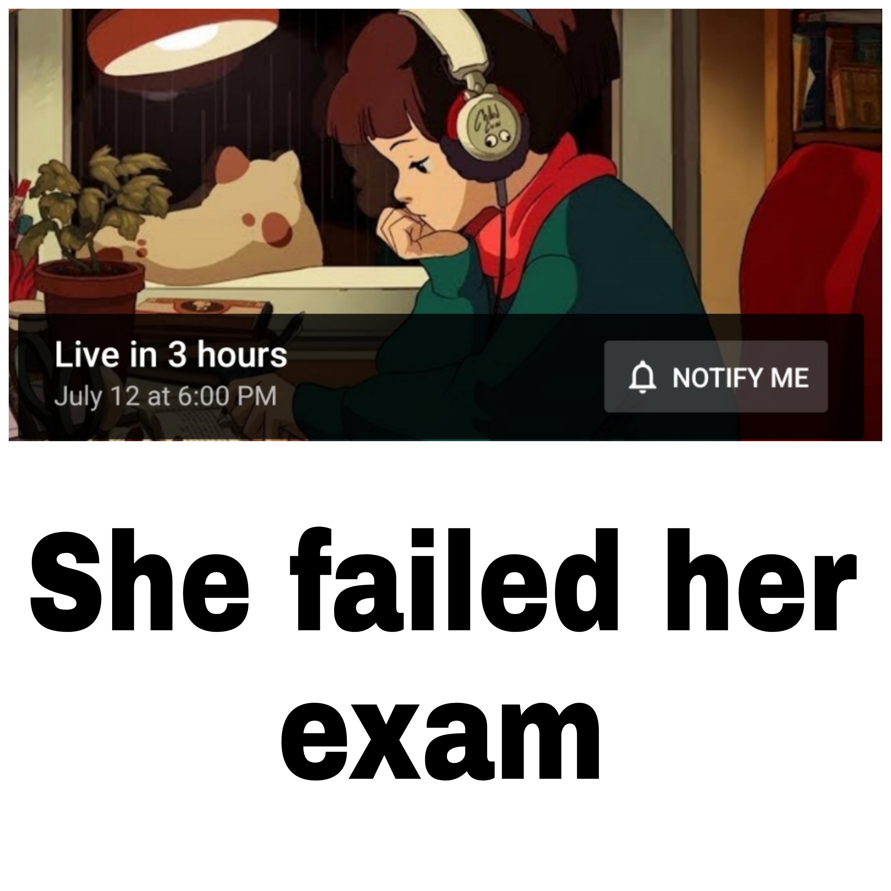dank memes - lofi hip hop radio - Live in 3 hours July 12 at W A Notify Me She failed her exam