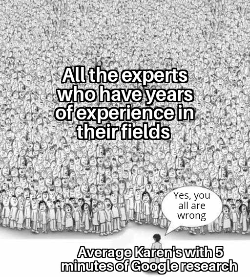 dank memes - you are all wrong meme - All the experts who have years of experience in theirfields Yes, you all are wrong Average Karen's with 5 minutes of Google research
