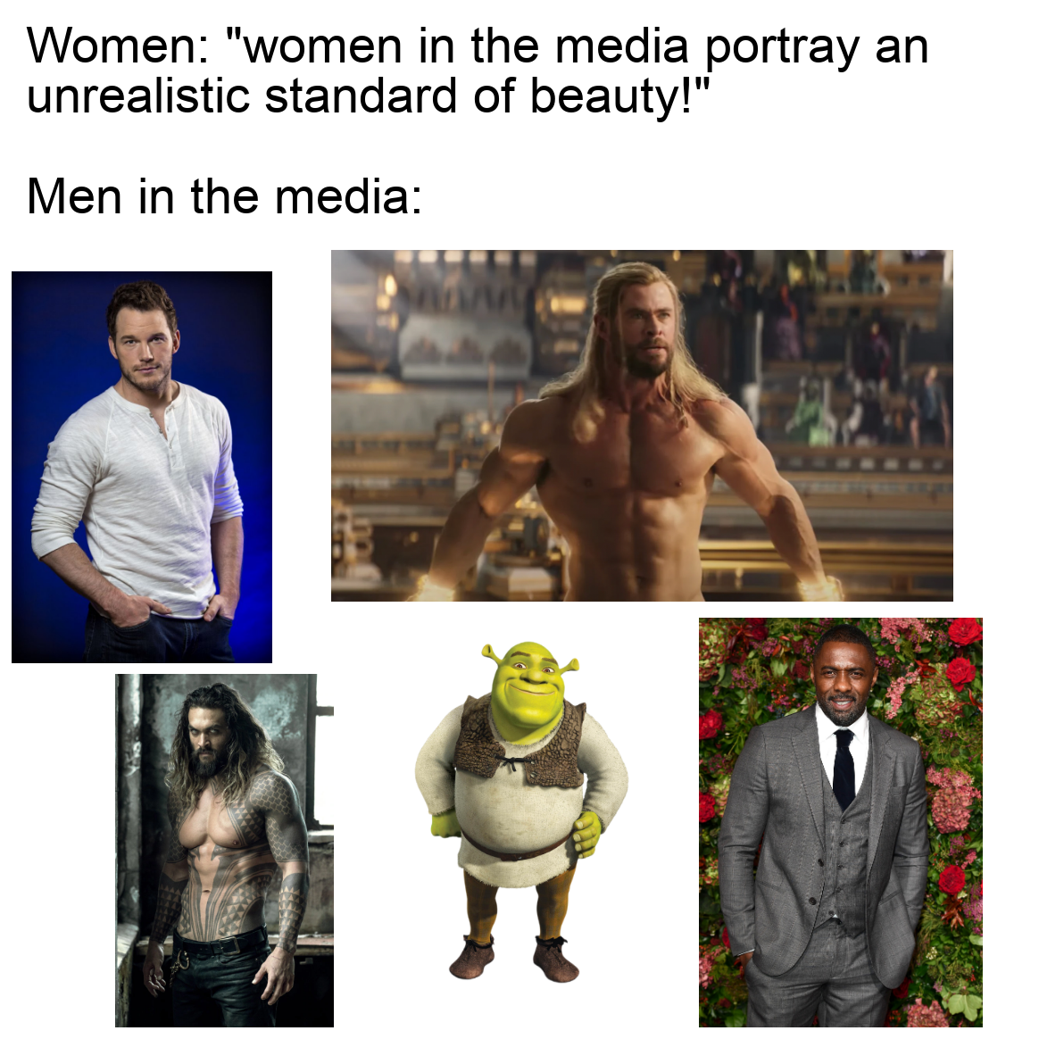 dank memes - shrek - Women "women in the media portray an unrealistic standard of beauty!" Men in the media