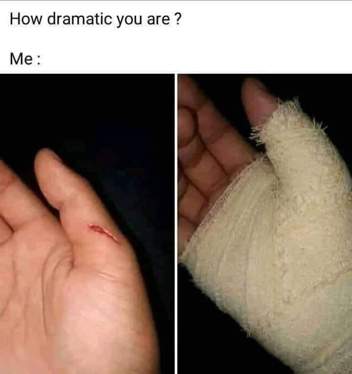 dank memes - How dramatic you are ? Me