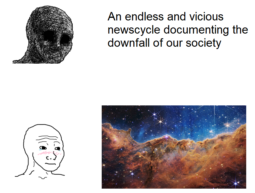 dank memes - human - An endless and vicious newscycle documenting the downfall of our society