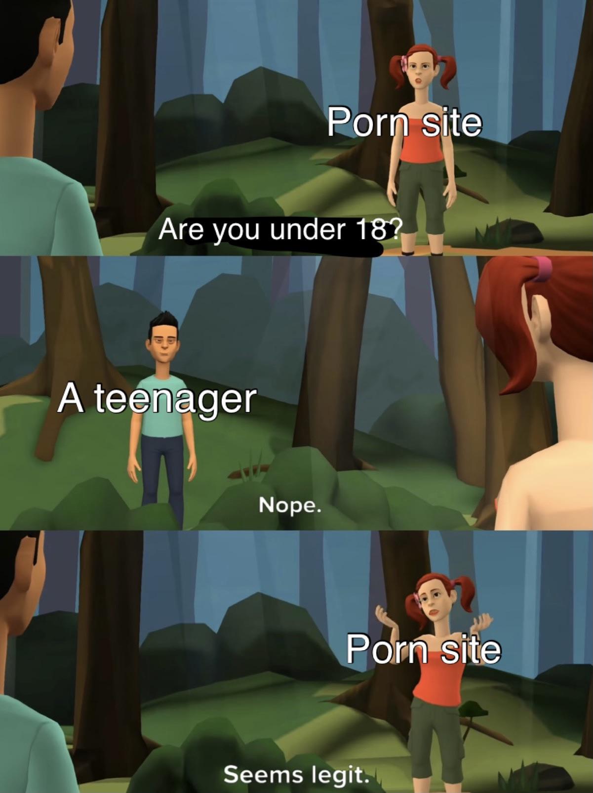 dank memes - funny memes - cartoon - Are you under 18? A teenager Porn site Nope. Porn site Seems legit.