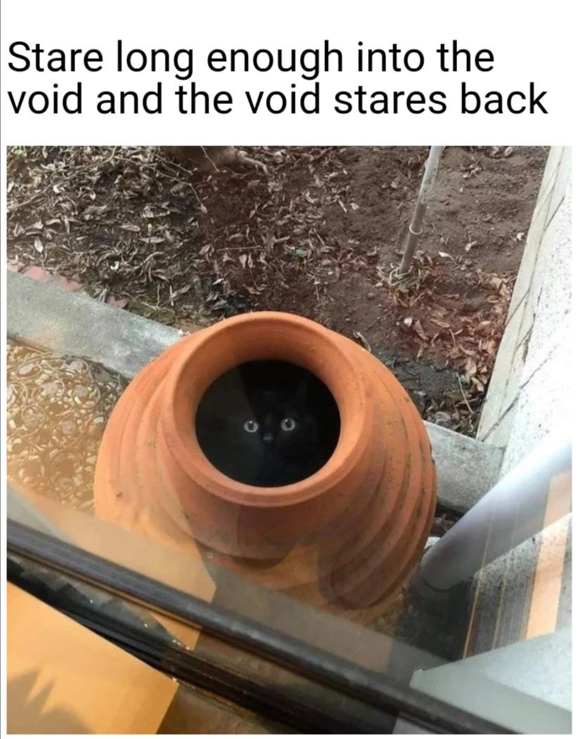 dank memes - funny memes - if you gaze long enough into the abyss - Stare long enough into the void and the void stares back
