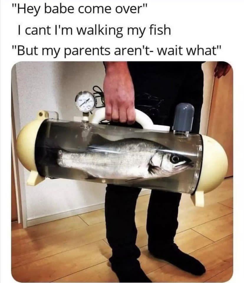 dank memes - funny memes - can t i m walking my fish - "Hey babe come over" I cant I'm walking my fish "But my parents aren't wait what"