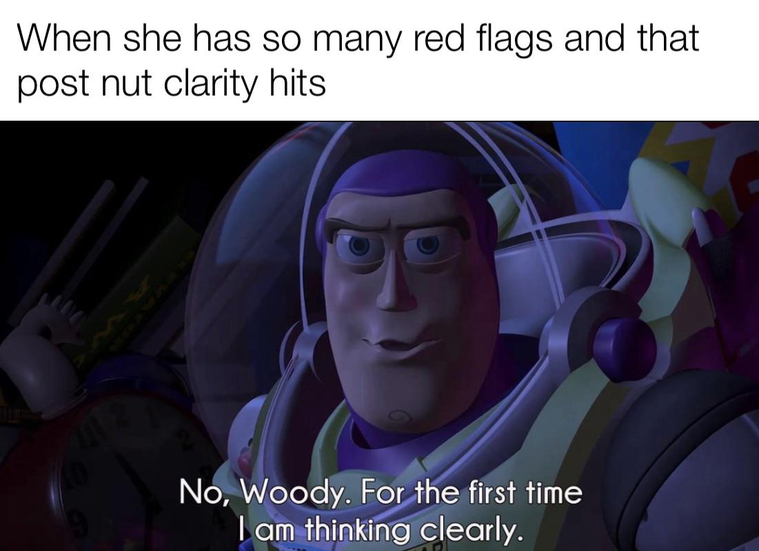 dank memes - funny memes - cartoon - When she has so many red flags and that post nut clarity hits No, Woody. For the first time I am thinking clearly.