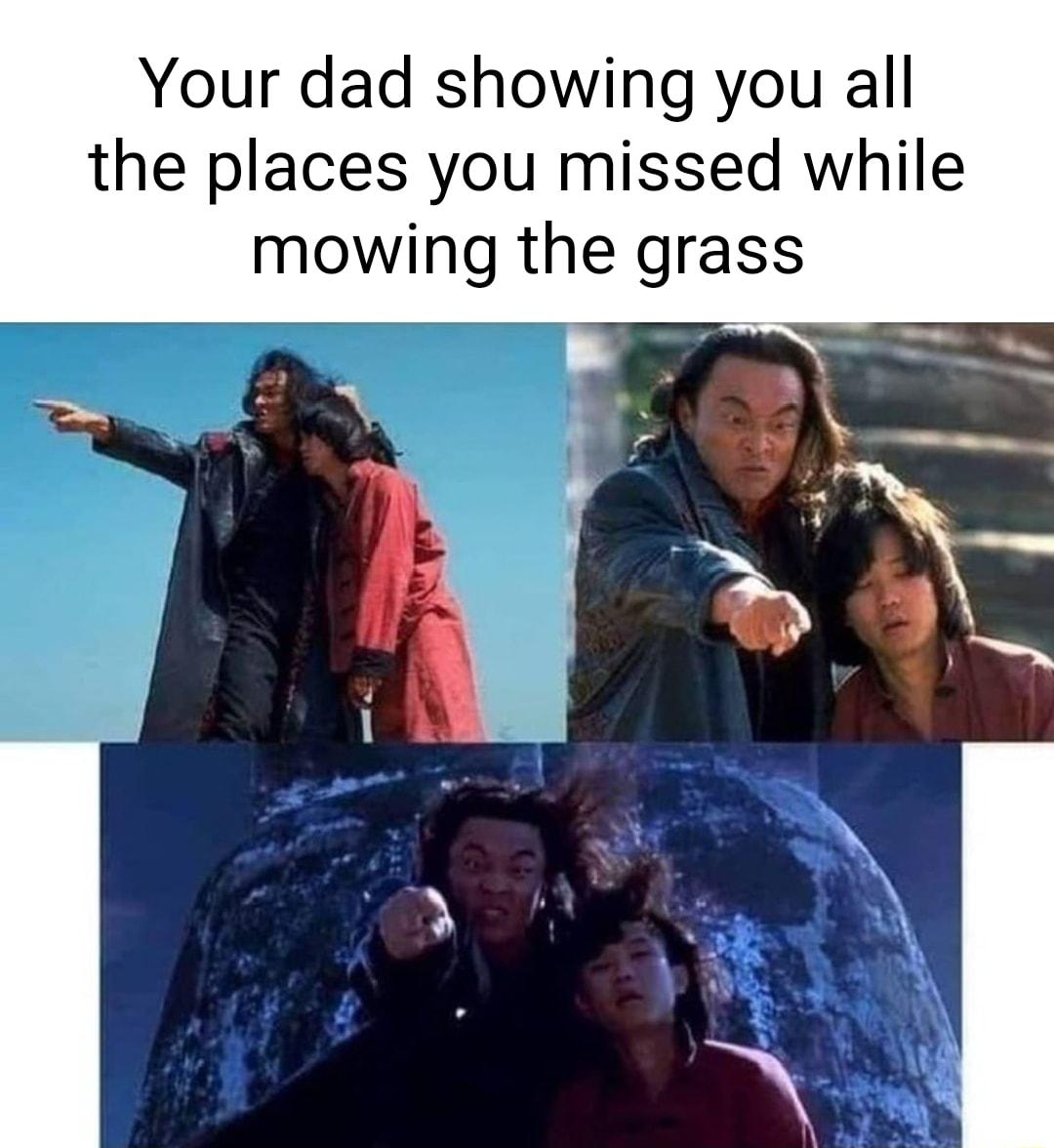 funny memes - friendship - Your dad showing you all the places you missed while mowing the grass