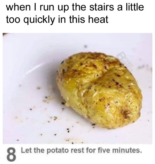 funny memes - let the potato rest for 5 minutes - when I run up the stairs a little too quickly in this heat 8 ariels Let the potato rest for five minutes.
