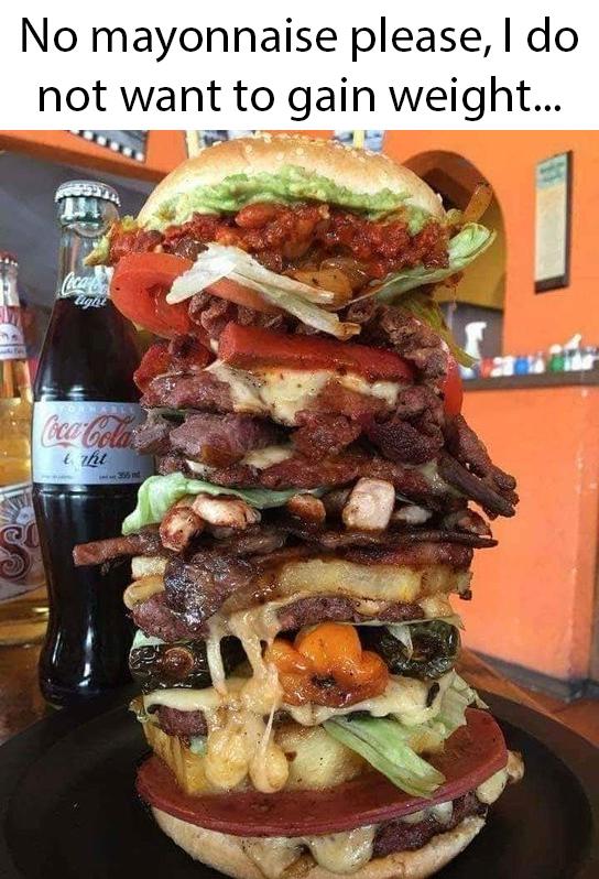 funny memes - dank memes - junk food - No mayonnaise please, I do not want to gain weight... CocaCol light Forharly CocaCola t the 355