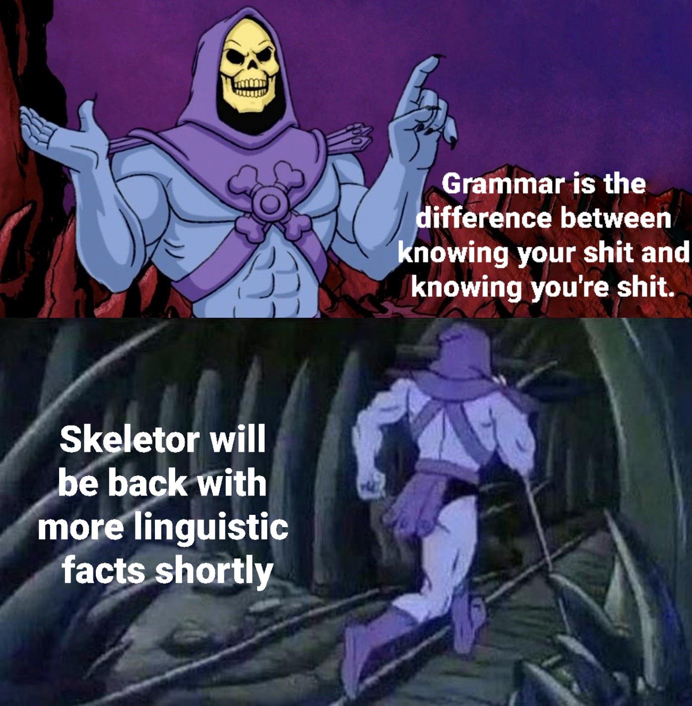 funny memes - dank memes - cartoon - Skeletor will be back with more linguistic facts shortly Grammar is the difference between knowing your shit and knowing you're shit.