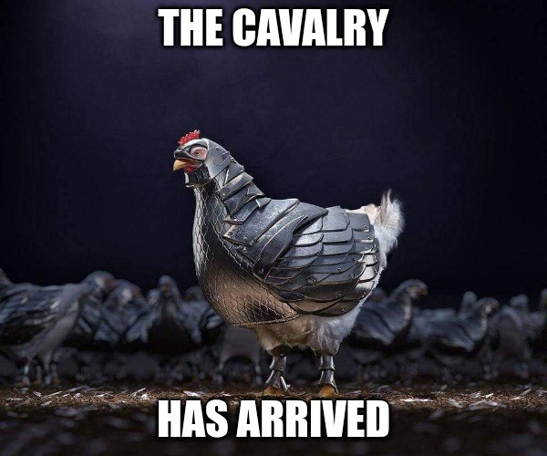 funny memes - dank memes - armored chicken - The Cavalry Has Arrived