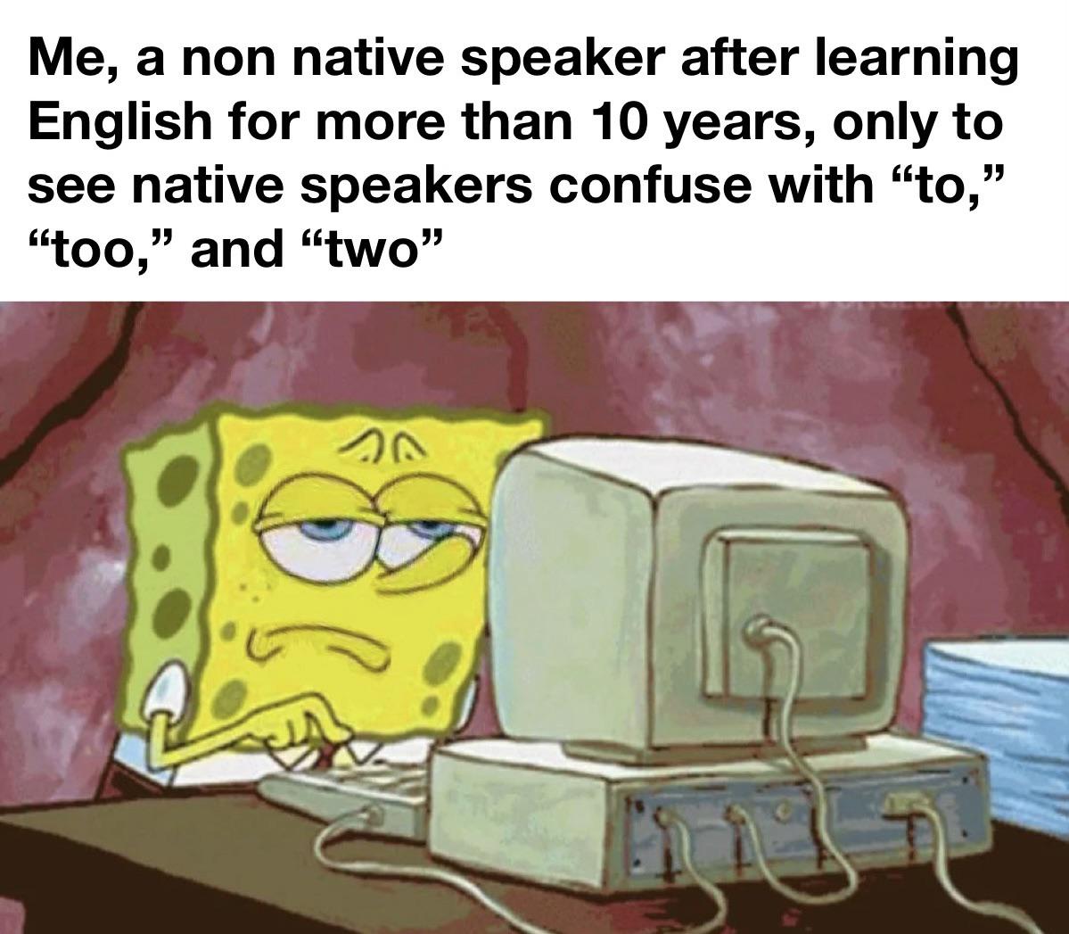 funny memes - dank memes - English learning - Me, a non native speaker after learning English for more than 10 years, only to see native speakers confuse with "to," "too," and "two" 30 86