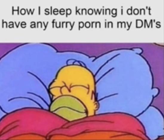 dank memes - funny memes - sleep after horror movie meme - How I sleep knowing i don't have any furry porn in my Dm's