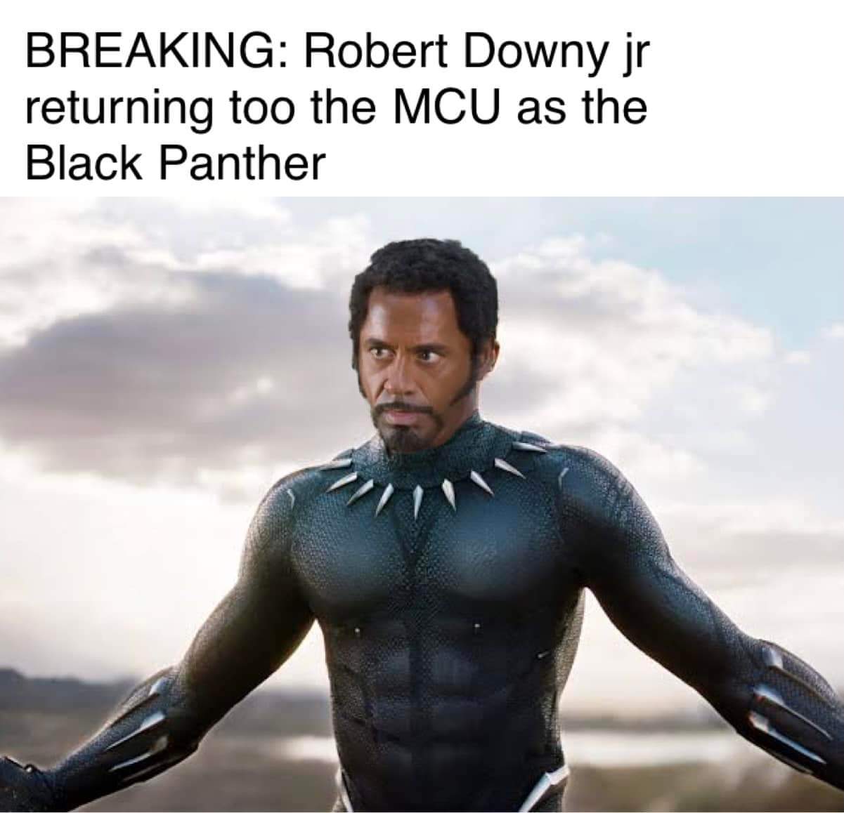 dank memes - funny memes - black panther marvel - Breaking Robert Downy jr returning too the Mcu as the Black Panther