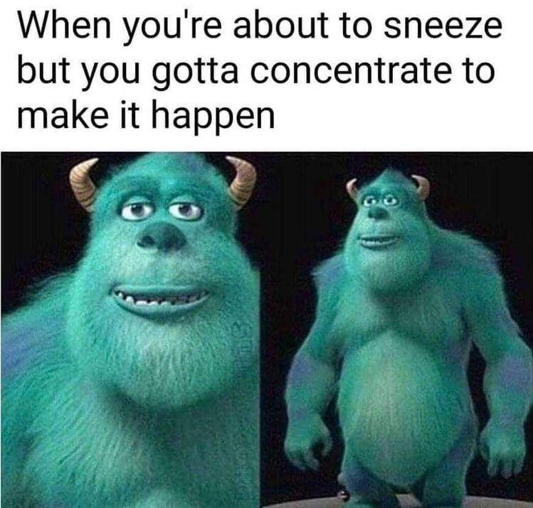dank memes - funny memes - sully monsters inc meme - When you're about to sneeze but you gotta concentrate to make it happen