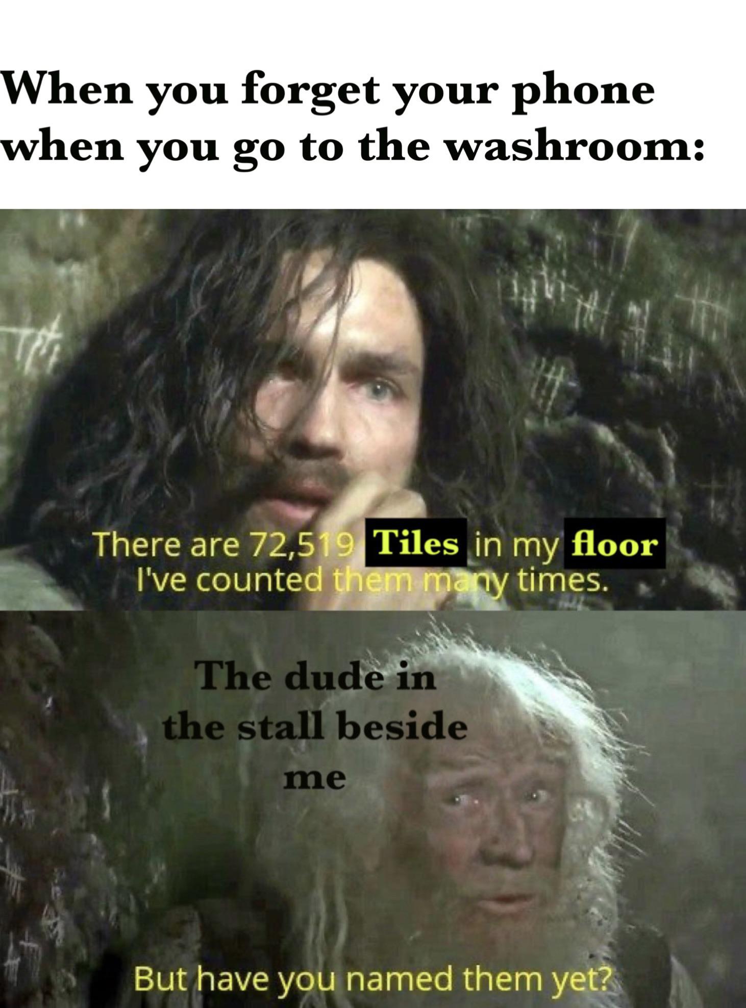 dank memes - funny memes - photo caption - When you forget your phone when you go to the washroom There are 72,519 Tiles in my floor I've counted them many times. The dude in the stall beside me But have you named them yet?