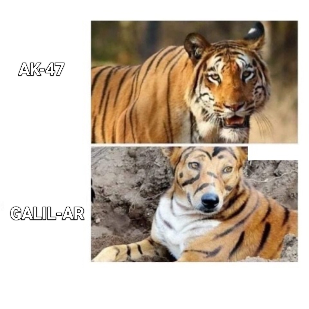 dank memes - funny memes - tiger - Ak47 GalilAr