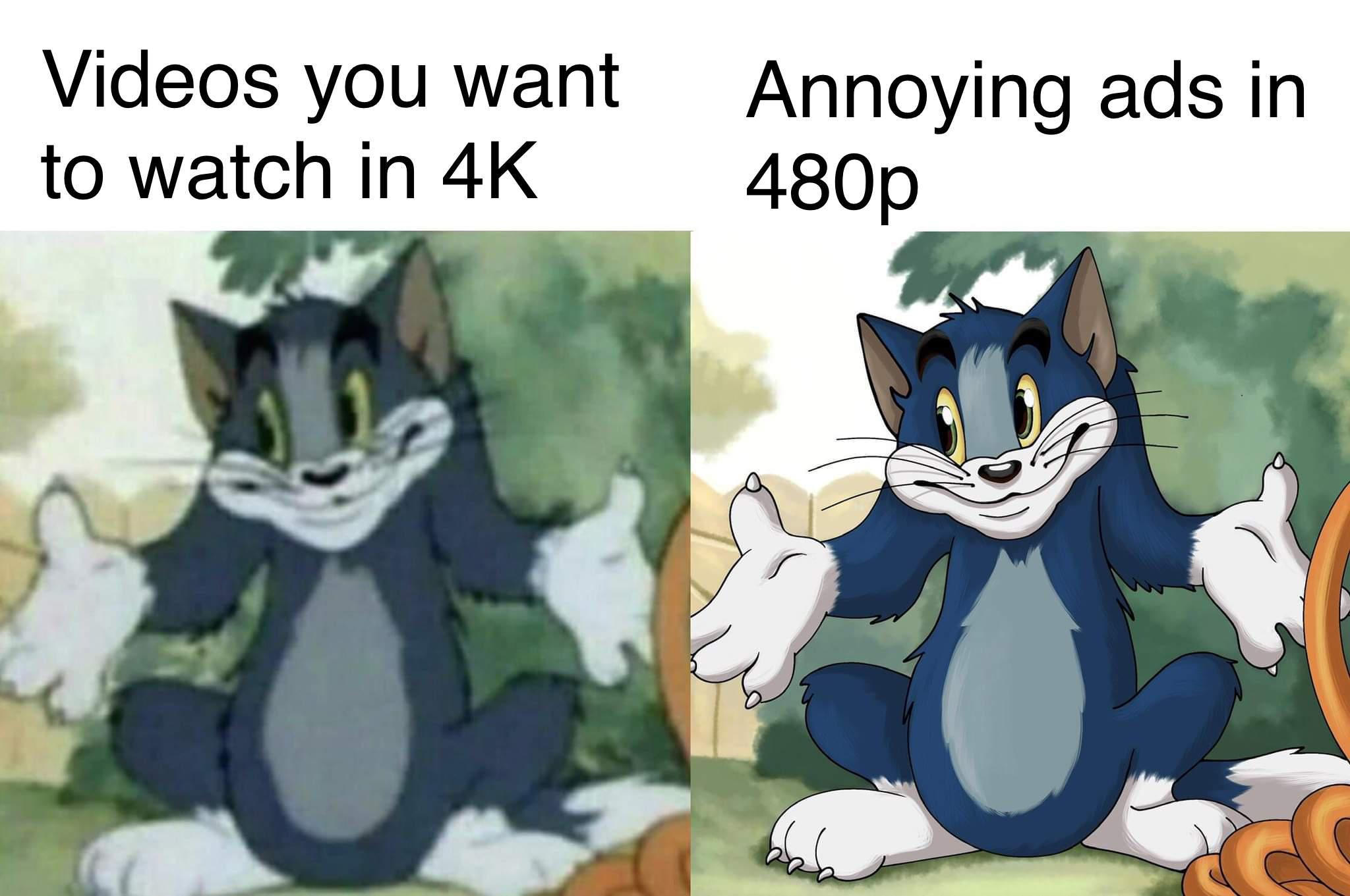 funny memes - tom y jerry meme - Videos you want to watch in 4K Annoying ads in 480p