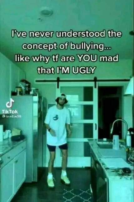 funny memes - never understood the concept of bullying - I've never understood the concept of bullying... why tf are You mad that I'M Ugly Tik Tok Ho