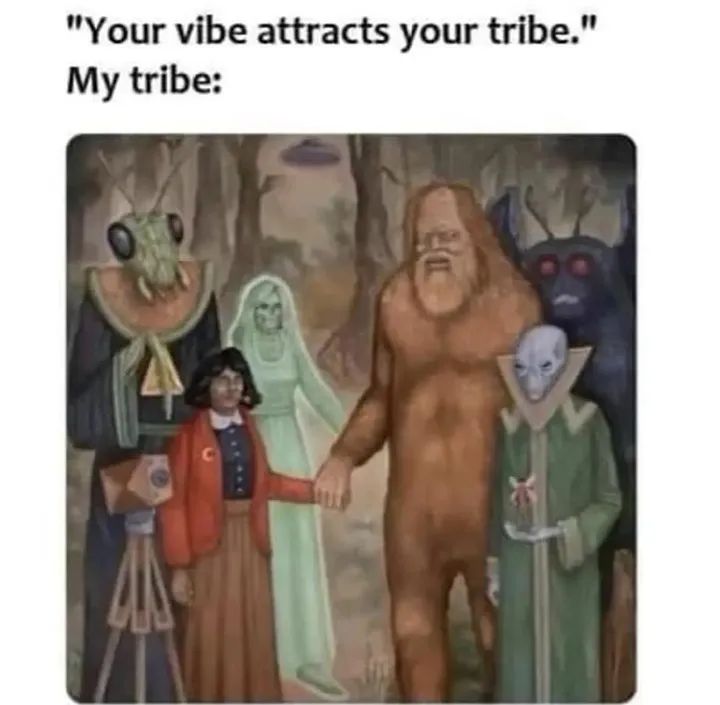 funny memes - "Your vibe attracts your tribe." My tribe