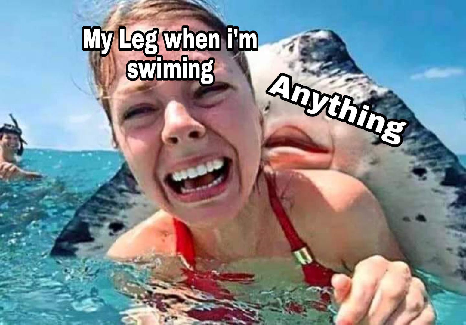 funny memes - hey lil mama lemme whisper in your ear stingray - My Leg when i'm swiming Anything