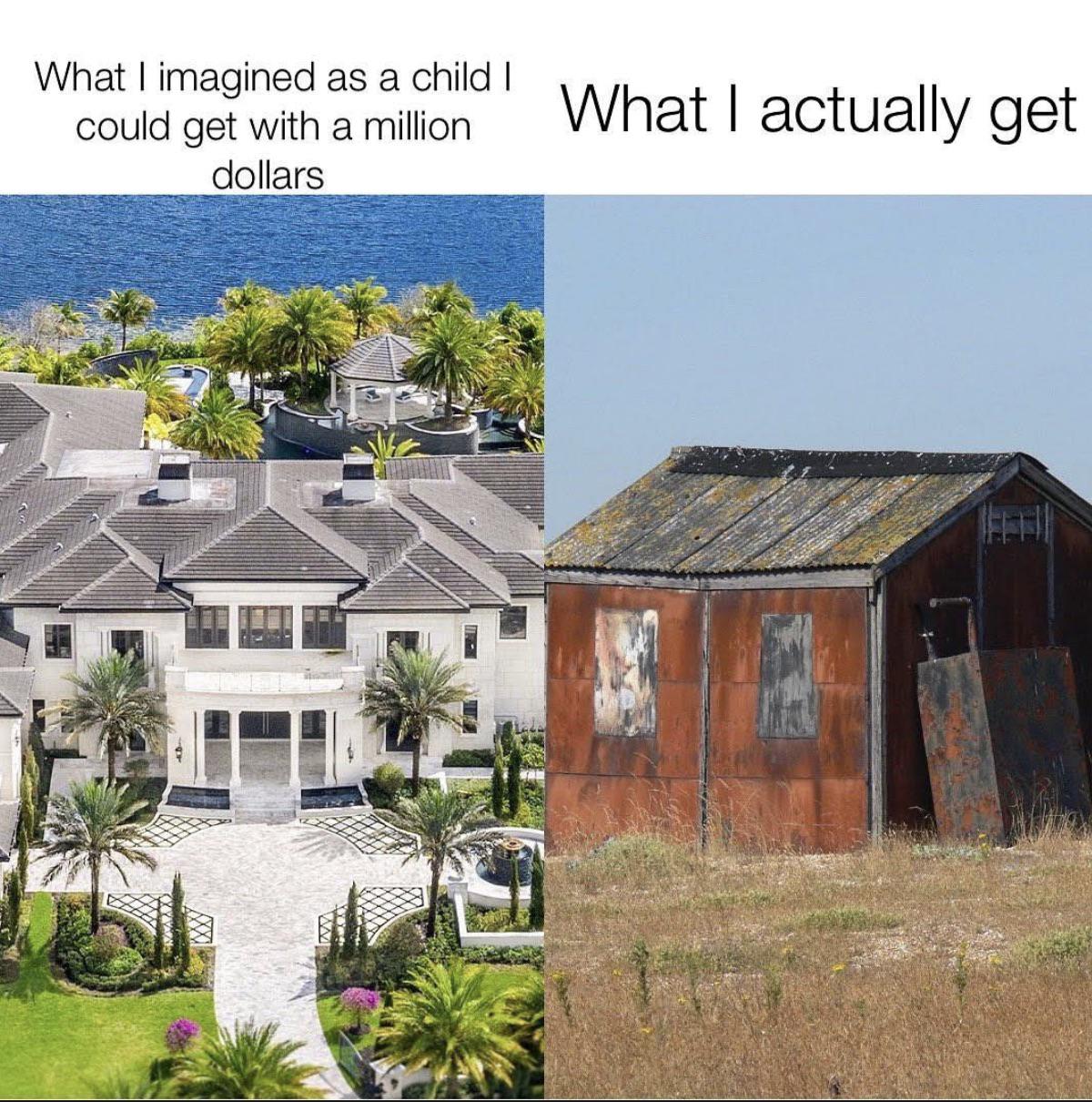 funny memes - dungeness - What I imagined as a child I What I actually get could get with a million dollars Pizzaxx Imm Yyy