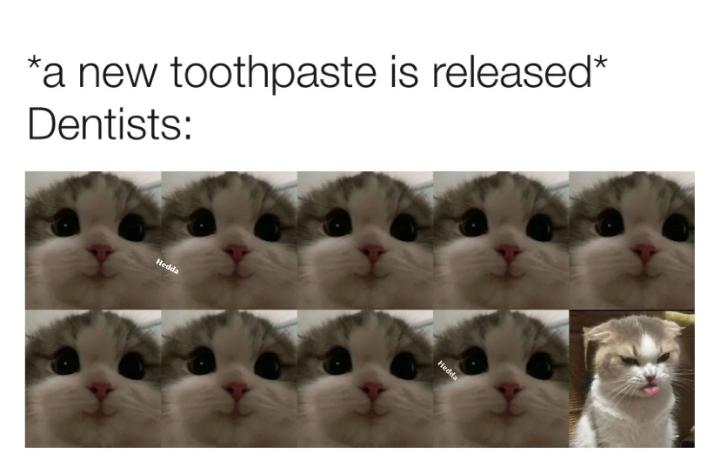 funny memes - fauna - a new toothpaste is released Dentists Hedda Hedda
