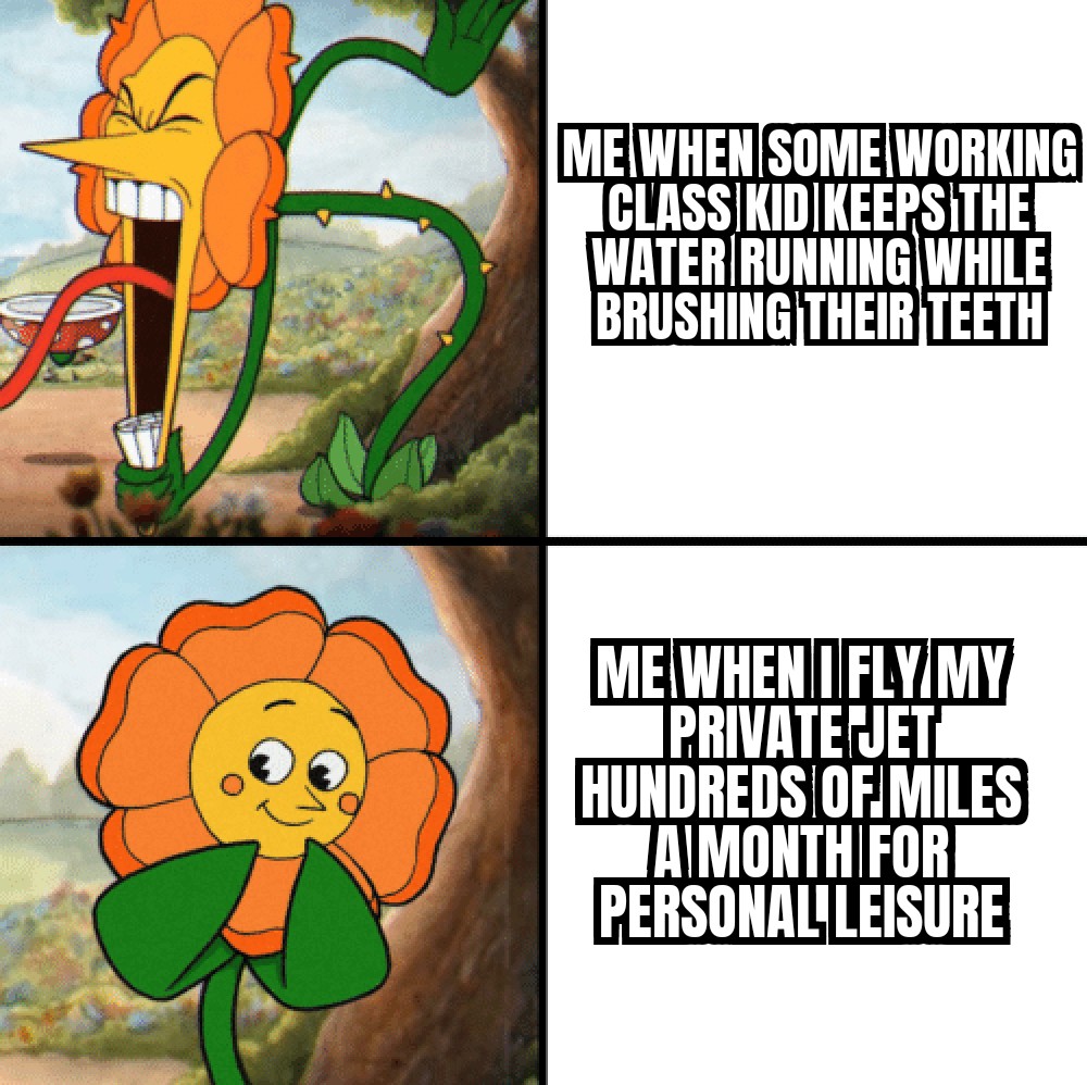 funny memes - angry flower meme - Me When Some Working Class Kid Keepsithe Water Running While Brushing Their Teeth Me When I Fly My Iprivate Jet Hundreds Of Miles Aimonth Fori Personal Leisure