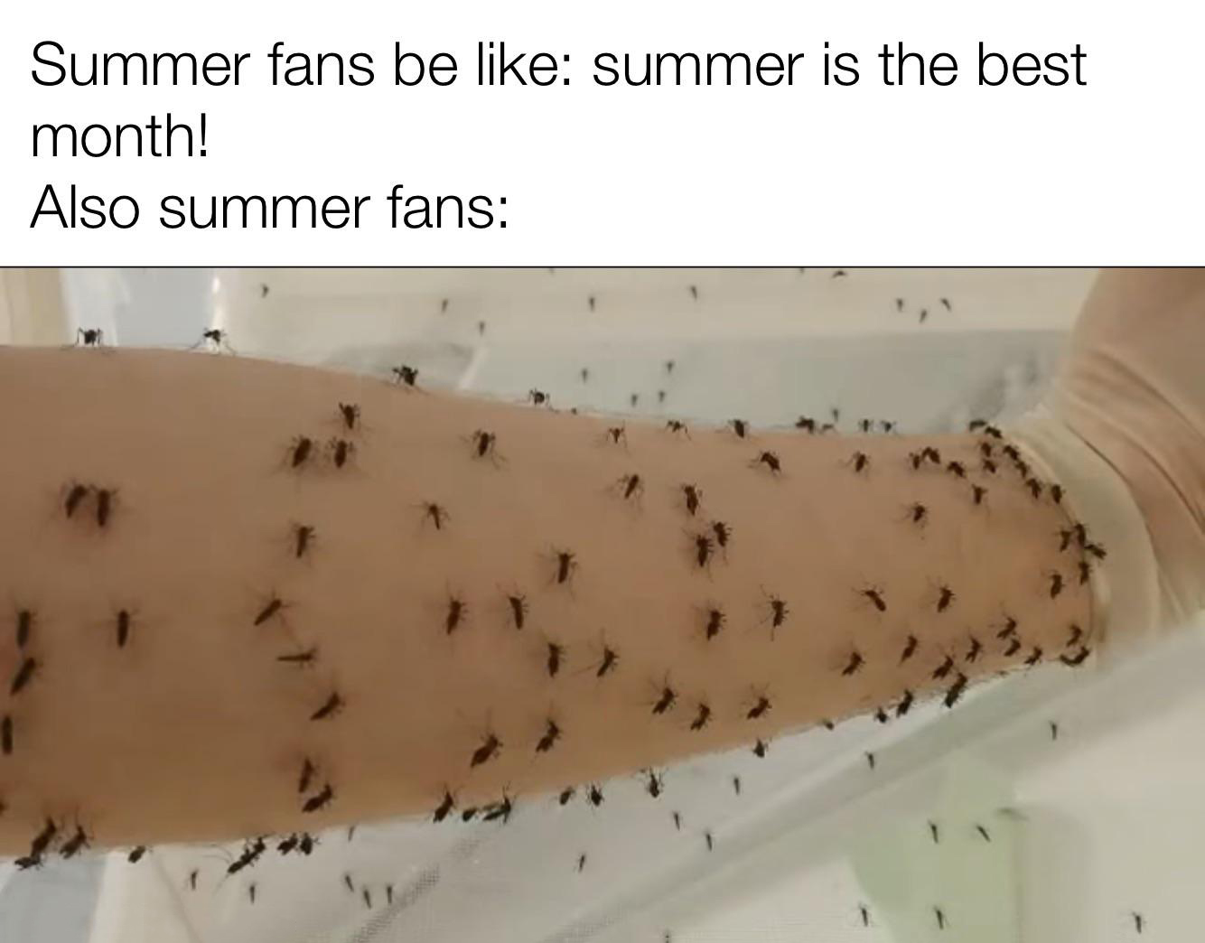 funny memes - membrane winged insect - Summer fans be summer is the best month! Also summer fans